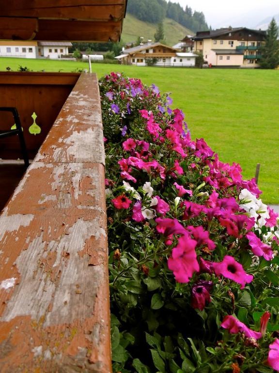 Ski & Bike Pension Maria Saalbach-Hinterglemm Luaran gambar